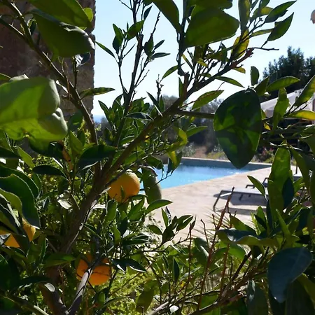 Morea Holiday home *